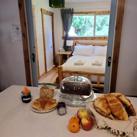 Grizzly Paw B&B Clearwater Exteriör bild