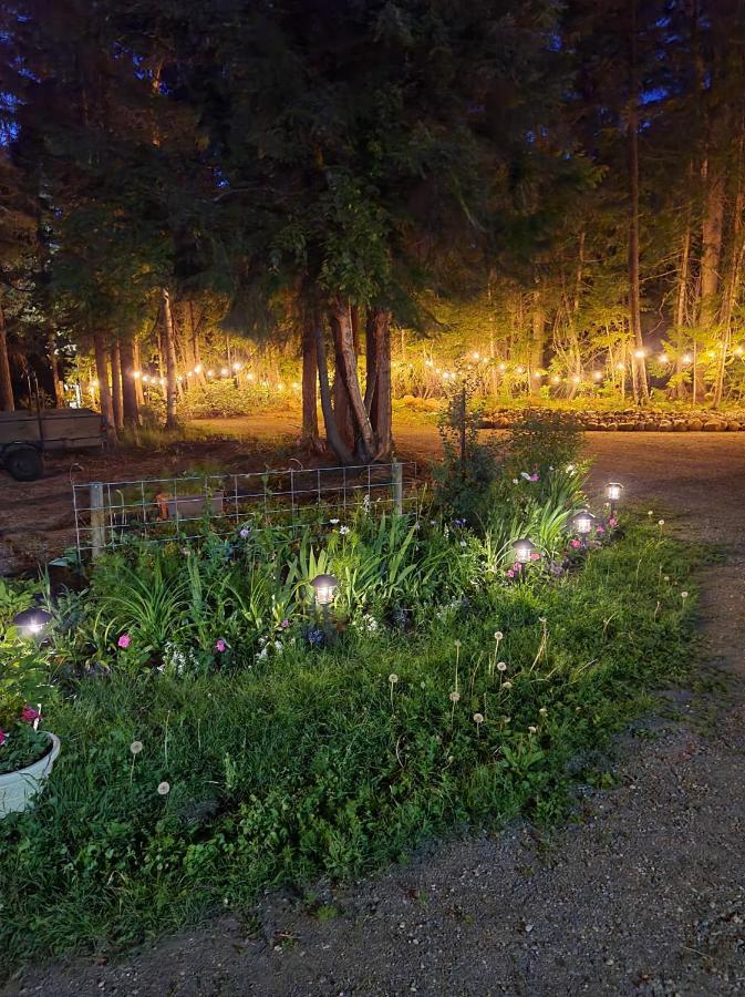 Grizzly Paw B&B Clearwater Exteriör bild